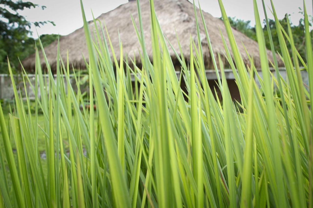 Calvary Home Mae Rim Exterior foto